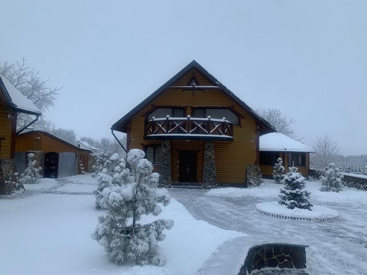 Rodynne Gnizdo Villa Pochaiv Exterior photo